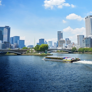 Z7QMw30tXzsHEibjaRld.jpg?w=940&h=940