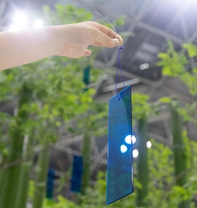 Z7lHA4t7axgTLZY9pjOu.jpg?w=940&h=940