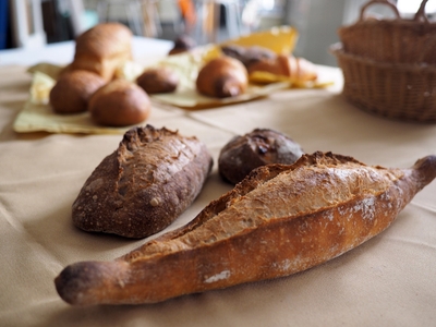 Z7pWhyVsrG9OGm79ikom.jpg?w=940&h=940