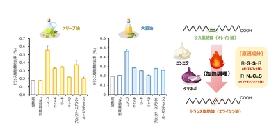 図１：含硫化合物を含む野菜が加熱調理（180 ℃、30分）工程において トランス脂肪酸（エライジン酸）の生成に及ぼす影響とメカニズム