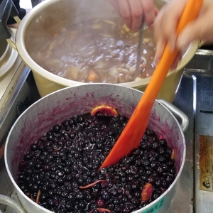 Z8h6C6gY69CzYKxxKErT.jpg?w=940&h=940