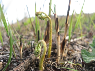 Z9CqYDdhpZUp5DKkq3Zq.jpg?w=940&h=940