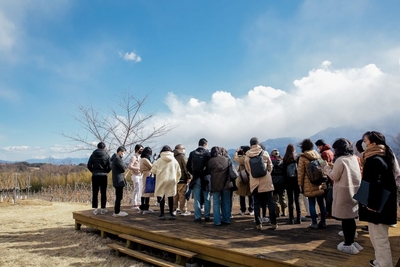 Z9b6wksa9VhJzOt3ytCl.jpg?w=940&h=940