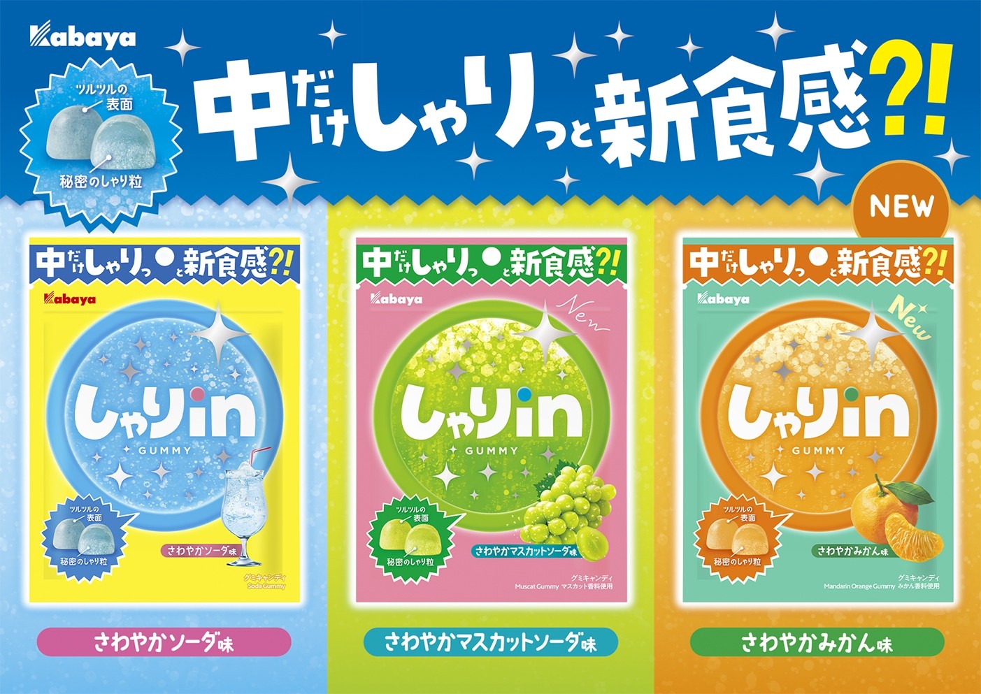 計画の約3.2倍の売れ行き『しゃりinグミ』ブランド 『しゃりinグミ みかん』