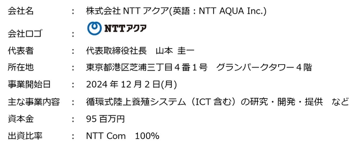 新会社の概要