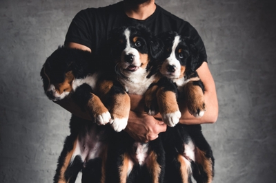 ZCZKzT3eL63EqnurYXDS.jpeg?w=940&h=940