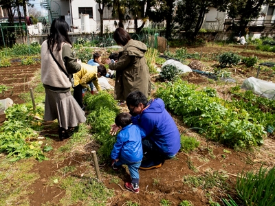 ZD5l1DPotyrIff7TrKOz.jpg?w=940&h=940