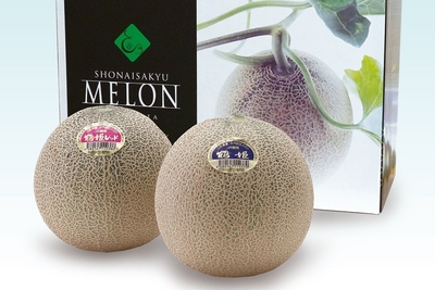 ZDWAO3LS4x151dV4xVIu.jpg?w=940&h=940