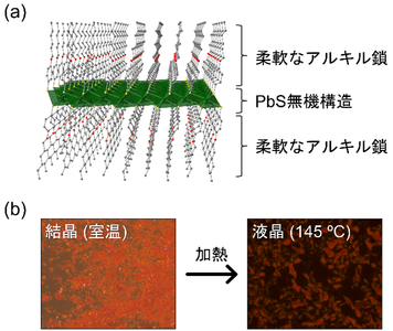 図1：KGF-34（C6）の結晶構造（a）と相転移挙動（b）