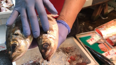 ZDkDiaYwmrugTGRovGWu.jpg?w=940&h=940