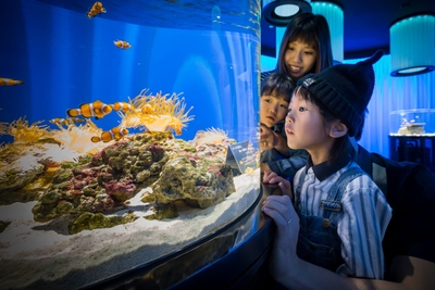 ZE5OQpbZzhabJ4ZwcLi8.jpg?w=940&h=940