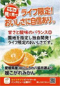 ZEP2SFx0KfgFEwVwNRRH.png?w=940&h=940