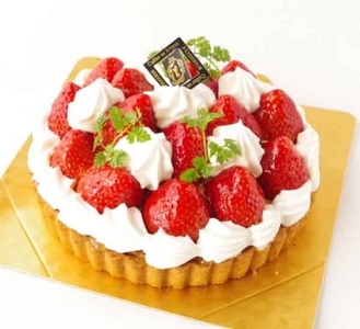 ZEaeKvY3VoLZSawr6Bmb.jpg?w=940&h=940