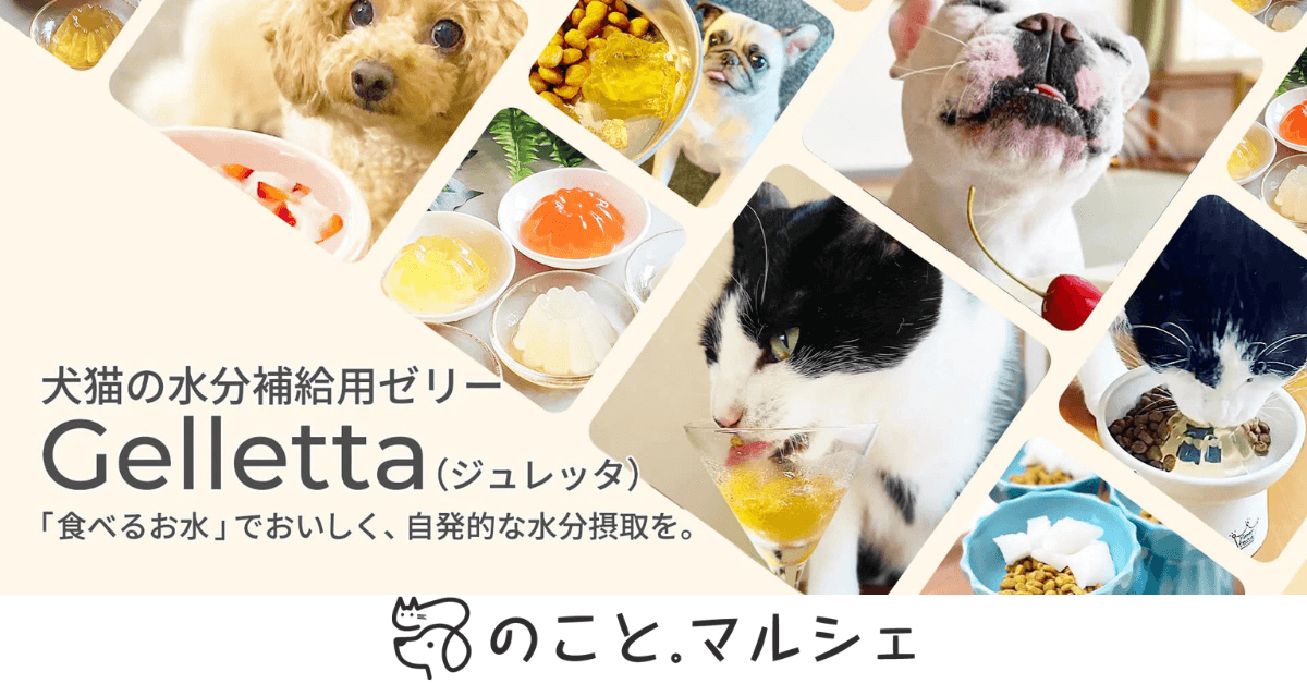 ペットの健康を考えた水分補給おやつ「ジュレッタ」に新作フレーバー登場。