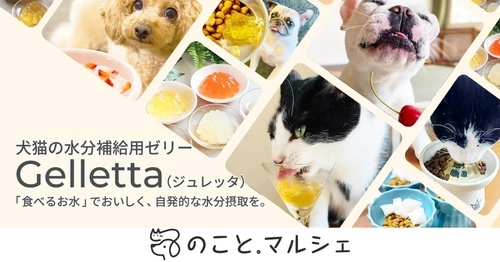 ペットの健康を考えた水分補給おやつ「ジュレッタ」に新作フレーバー登場。
