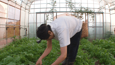 ZF64ntTsW0uwksykH0HJ.png?w=940&h=940