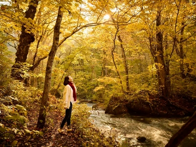 ZFeUNPyW1YZh2fudSGF1.jpg?w=940&h=940