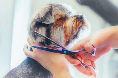 ZG1DjHb7bsQifD4Fm0ru.jpeg?w=940&h=940