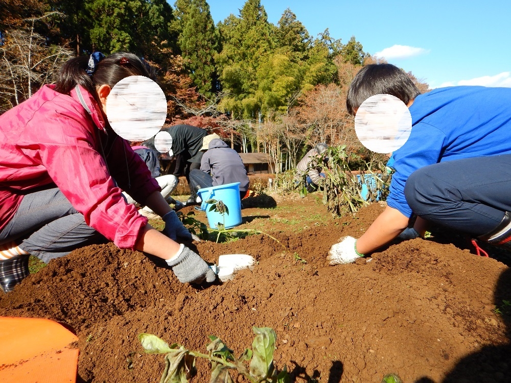 さあ、掘るぞ~!
