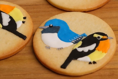 ZHXgVWsln99lrPK18uNW.jpg?w=940&h=940