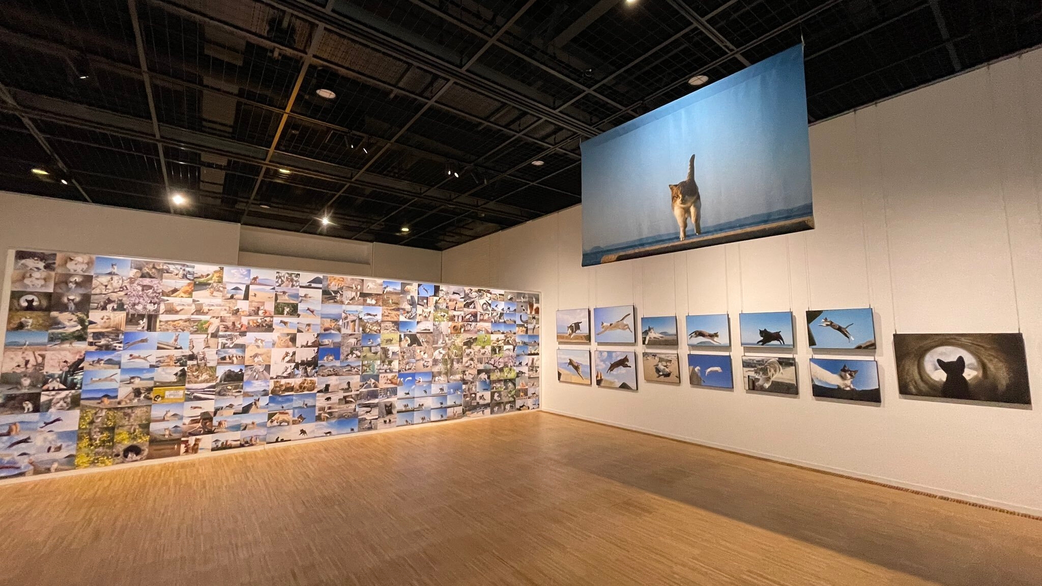 過去の展示風景(宝塚市立文化芸術センター)