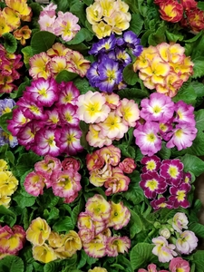 ZJUFFvFvbMC9ys3qITa1.jpg?w=940&h=940