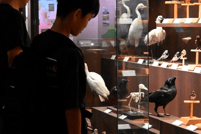 ZJcEyXiKw0I5lwlav0Sk.png?w=940&h=940