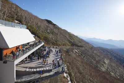 ZJdz8fbEt6noSvTUEvLO.jpg?w=940&h=940