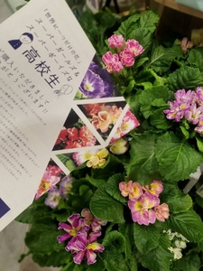 ZK3JqCwShZ2W4Cjdvil2.jpg?w=940&h=940