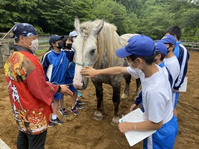 ZMMm0QS31pXV9kJs7uRr.jpg?w=940&h=940