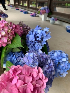 ZMaoXBLvnpFaA9beYKcJ.jpg?w=940&h=940