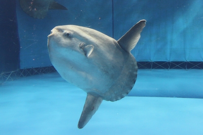 ZNBTfWjKCQKBMaLPUA7d.jpg?w=940&h=940