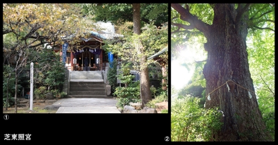 ZNGAVU5LczI2cUliaQb5.jpg?w=940&h=940