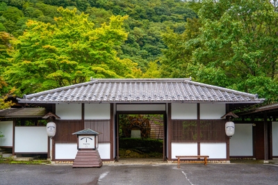 ZNOUVgW1CeEwHdby2lko.jpg?w=940&h=940