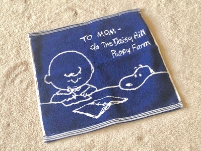 ZOqgMYvB4Z8IZ2fhkh1h.jpg?w=940&h=940