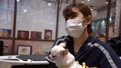 ZQVvUht0g86rRiNk2uU0.jpg?w=940&h=940