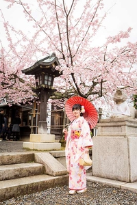 ZTFXO0tsbCdK2XIbhNme.jpg?w=940&h=940