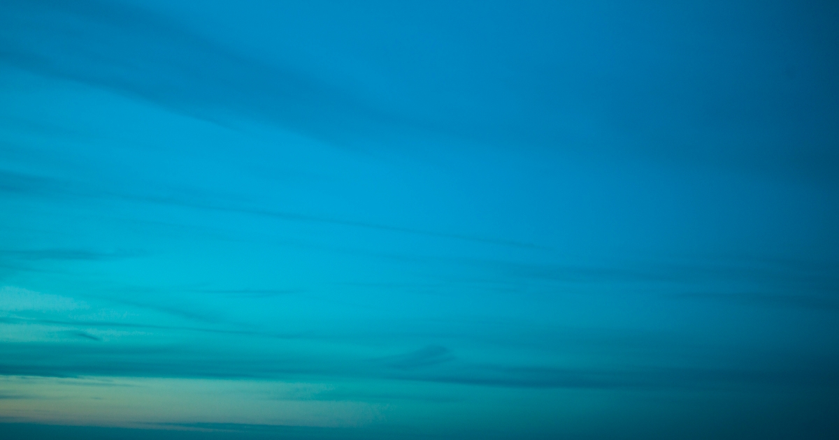 Tani Spring Summer 2023 "Zest for Life"