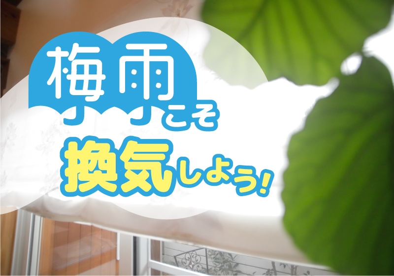 梅雨に負けない!快適空間の作り方 コラムを公開