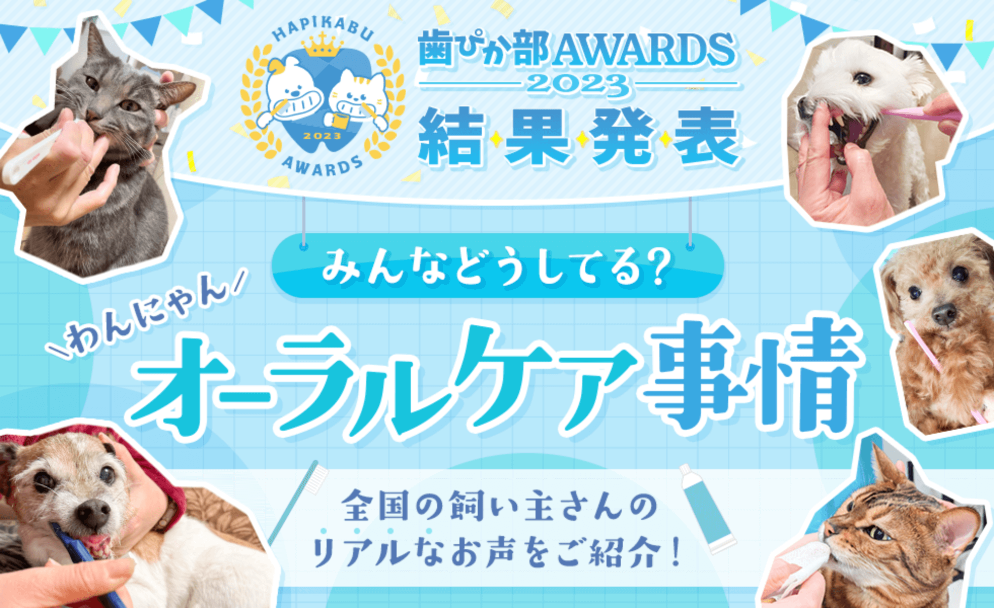 【愛犬・愛猫の歯みがき事情 特集】先輩飼い主さんってどうしてる？