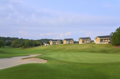 ZY9oB2YptJAbF00Ytc36.jpg?w=940&h=940