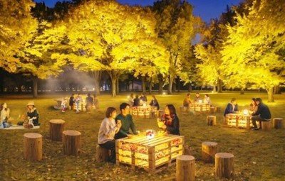「灯りともる、黄金色のひととき」（エリアイメージ）