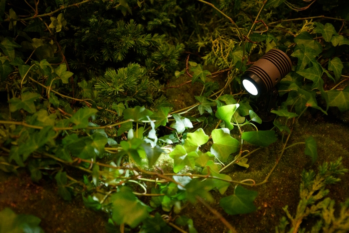 スポットライトタイプ