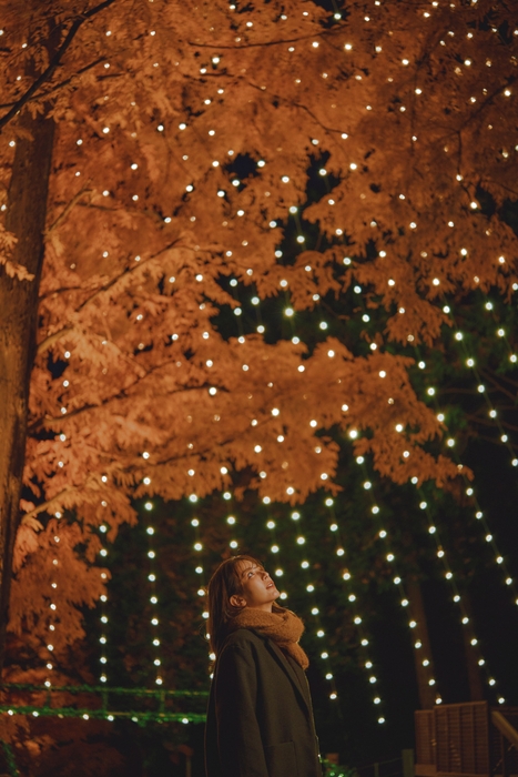 煌めくメタセコイアの幻想的な空間