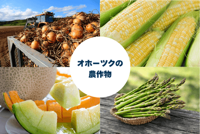 ZcqhE6WGcRfeWTr1PpX2.png?w=940&h=940