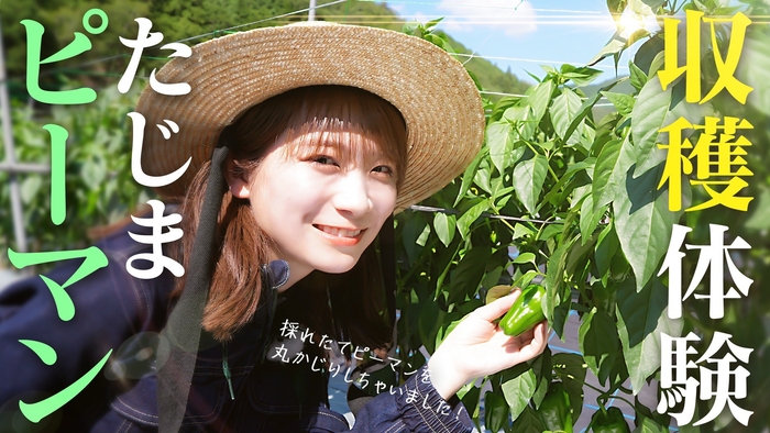 YouTube番組「ゆるふわたいむ」