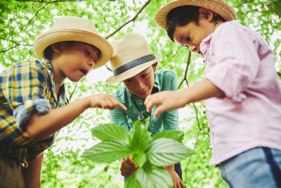 Zdm7jnnH2lNiPSrG0hlD.jpg?w=940&h=940