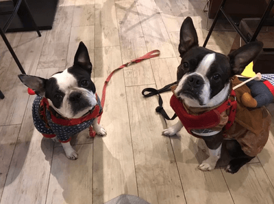 ZeAHKKYyrPOToWhHR5RC.png?w=940&h=940