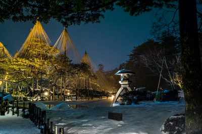 ZecpddGyzIP8q6TGd7Dh.jpg?w=940&h=940