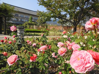 Zf3Dl5wTuRTgSyrI3U5a.jpg?w=940&h=940